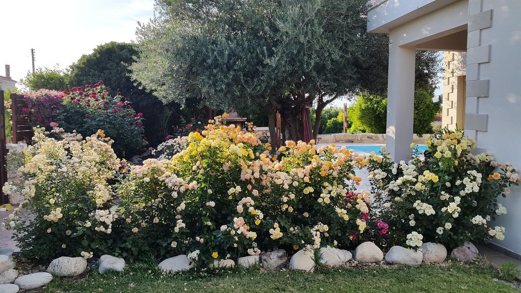 Jaime Villa Cyprus ارغاكه المظهر الخارجي الصورة