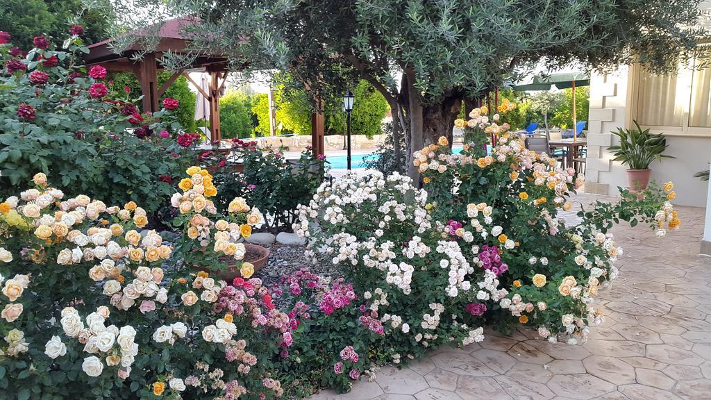 Jaime Villa Cyprus ارغاكه المظهر الخارجي الصورة