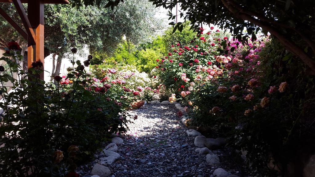 Jaime Villa Cyprus ارغاكه المظهر الخارجي الصورة